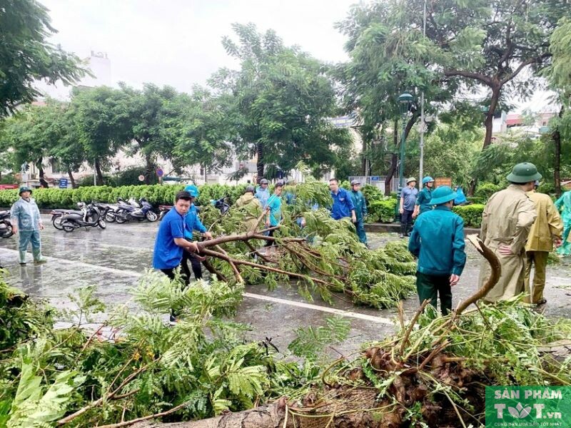 Hậu quả của Bão Yagi 