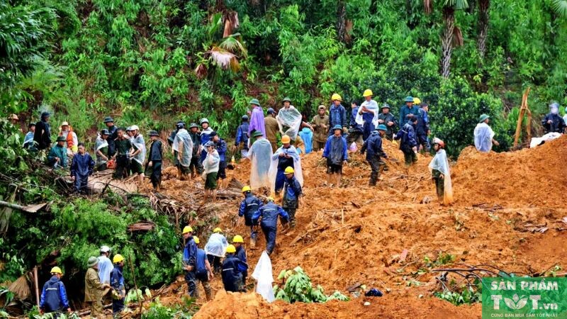 Hậu quả của Bão Yagi 