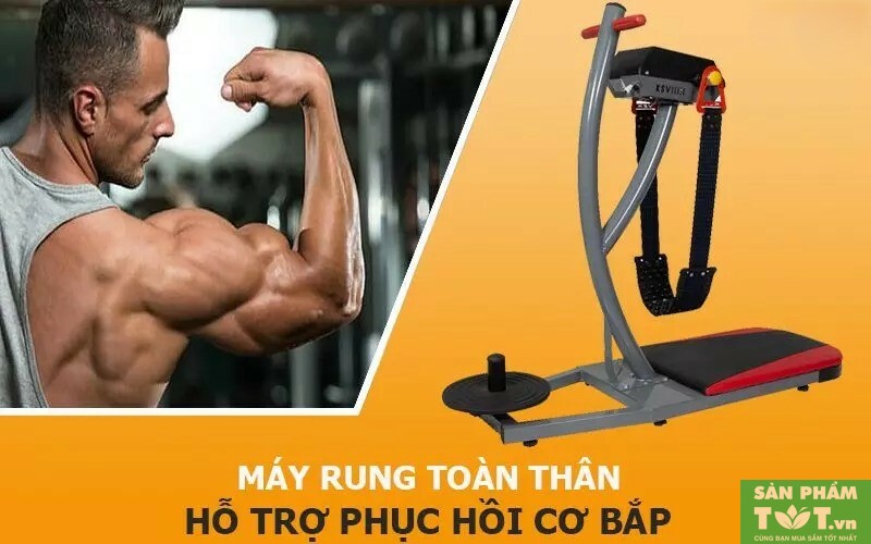 Hỗ trợ phục hồi cơ bắp sau khi luyện tập thể thao