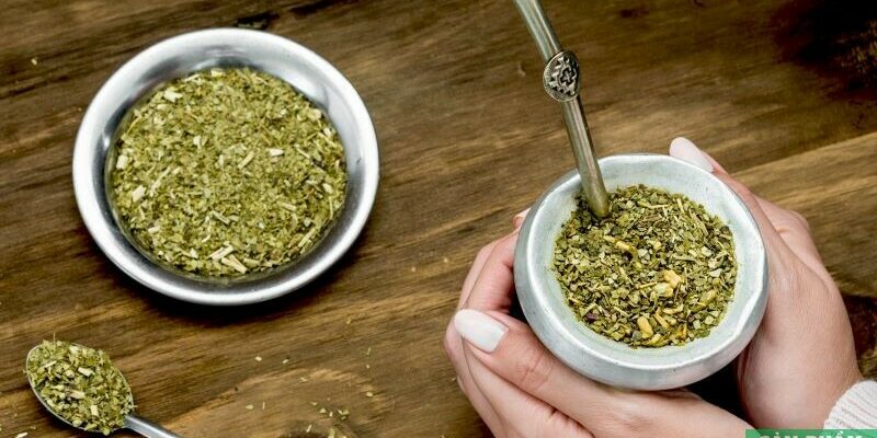 Yerba Mate trong văn hóa: Thức uống đậm chất truyền thống Nam Mỹ