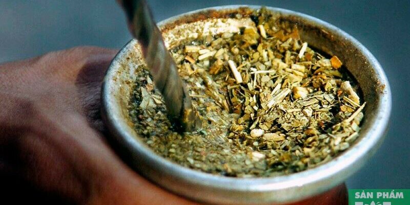 Các hương vị Yerba Mate ngon nhất: Tận hưởng trải nghiệm độc đáo từ Nam Mỹ