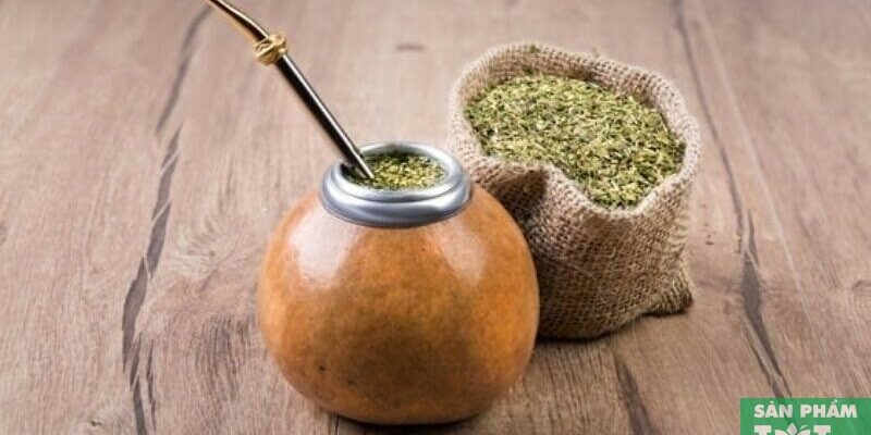 Công dụng các loại sản phẩm Yerba Mate – chọn sao cho đúng?