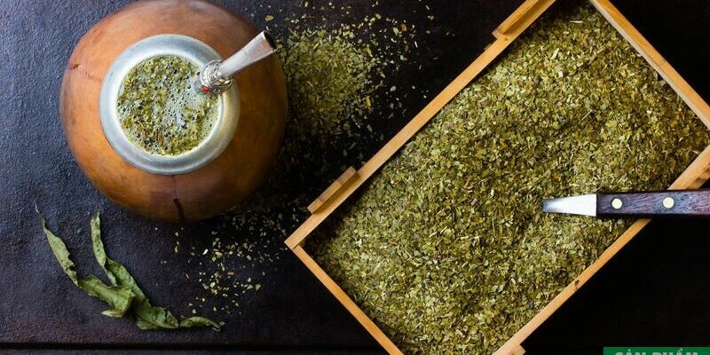 Lợi ích của Yerba Mate đối với sức khỏe, cách sử dụng đúng cách