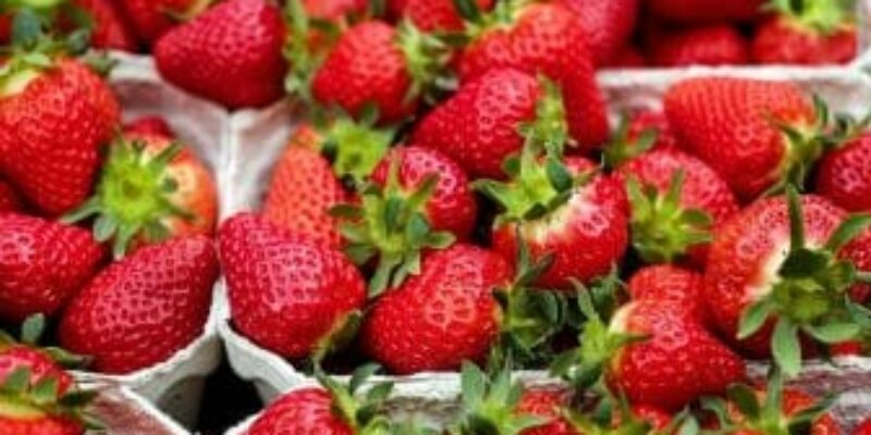 Top 9 Shop trái cây nhập khẩu Quảng Bình an toàn, bảo đảm, chất lượng cao