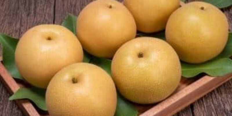 Top 10 Shop trái cây nhập khẩu Quảng Nam chất lượng không thể bỏ qua