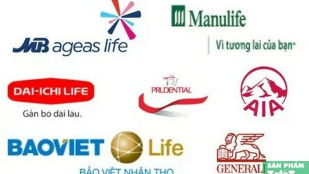Những công ty bảo hiểm uy tín tại Việt Nam