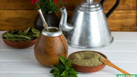 Trà Yerba mate là gì?